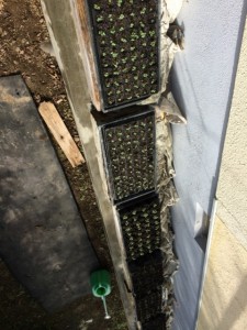 �摜(225x300)�E�g��摜(480x640)