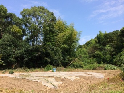 �摜(435x326)�E�g��摜(640x480)