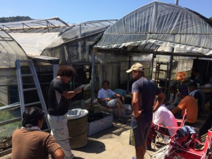 �摜(435x326)�E�g��摜(640x480)