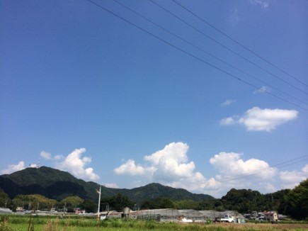 �摜(435x326)�E�g��摜(640x480)