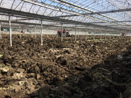 �摜(435x326)�E�g��摜(640x480)