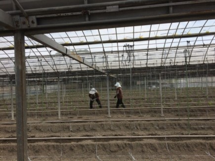 �摜(435x326)�E�g��摜(640x480)