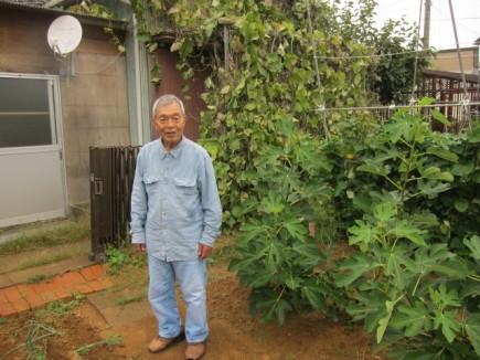 画像(435x326)・拡大画像(640x480)