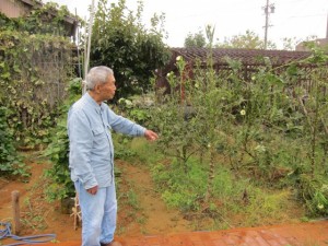 画像(300x225)・拡大画像(640x480)