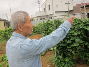 画像(300x225)・拡大画像(640x480)