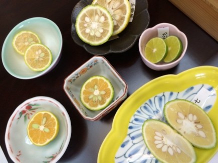 画像(435x326)・拡大画像(640x480)