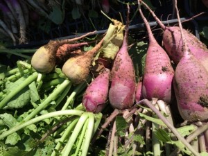 画像(300x225)・拡大画像(640x480)