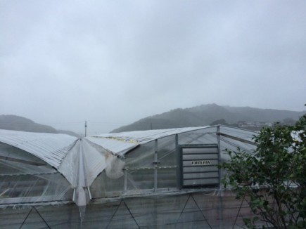 画像(435x326)・拡大画像(640x480)