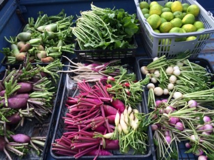 画像(435x326)・拡大画像(640x480)