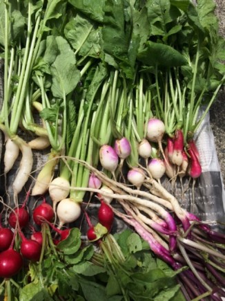 �摜(326x435)�E�g��摜(480x640)