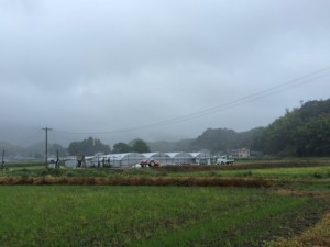 画像(300x225)・拡大画像(640x480)