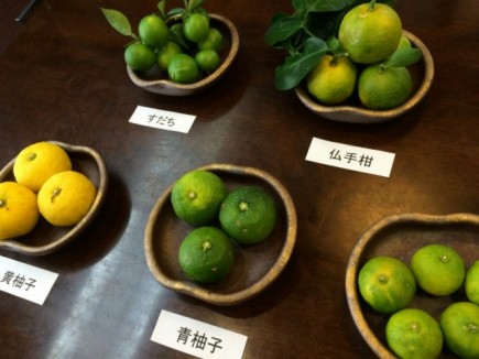 画像(435x326)・拡大画像(640x480)