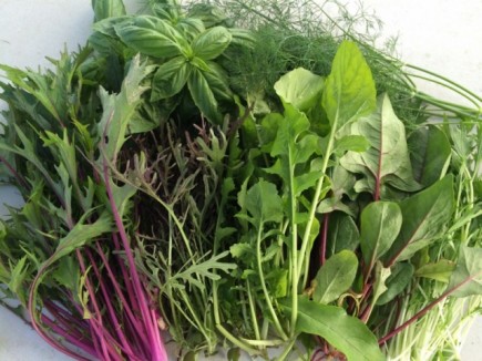 �摜(435x326)�E�g��摜(640x480)