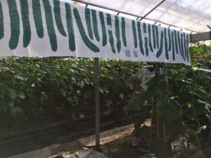 画像(300x225)・拡大画像(640x480)