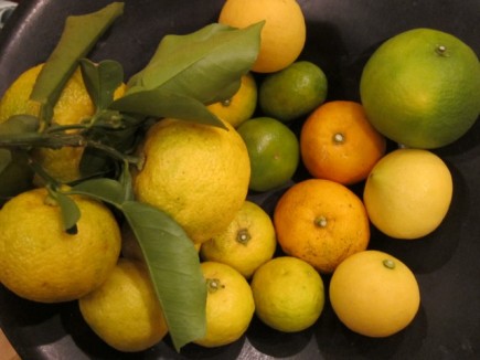 �摜(435x326)�E�g��摜(640x480)