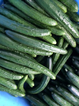 画像(326x435)・拡大画像(480x640)