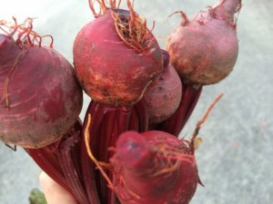 画像(300x225)・拡大画像(640x480)