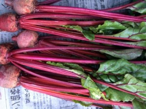 画像(300x225)・拡大画像(640x480)