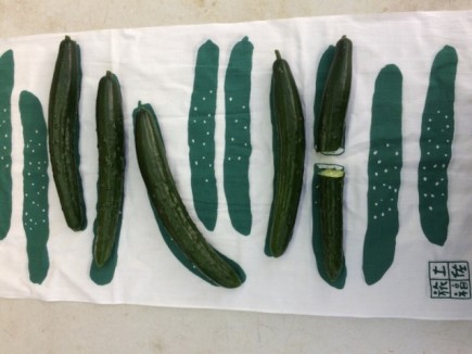 �摜(435x326)�E�g��摜(640x480)