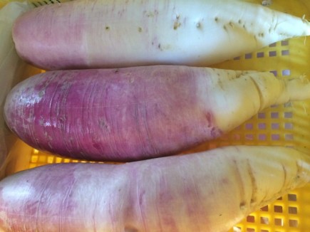 �摜(435x326)�E�g��摜(640x480)