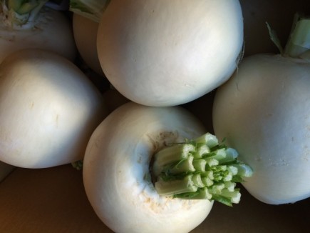 �摜(435x326)�E�g��摜(640x480)