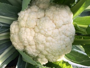 �摜(300x225)�E�g��摜(640x480)