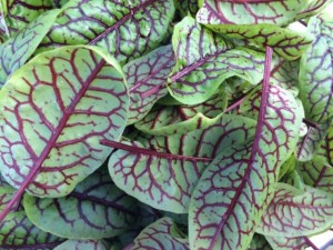 �摜(300x225)�E�g��摜(640x480)