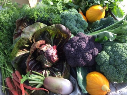 �摜(435x326)�E�g��摜(640x480)