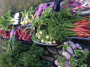 画像(300x225)・拡大画像(640x480)