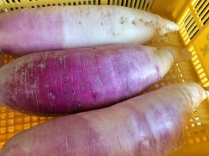 画像(300x225)・拡大画像(640x480)