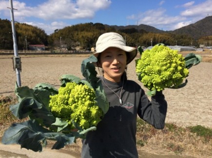 画像(435x326)・拡大画像(640x480)