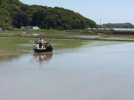 画像(435x326)・拡大画像(640x480)