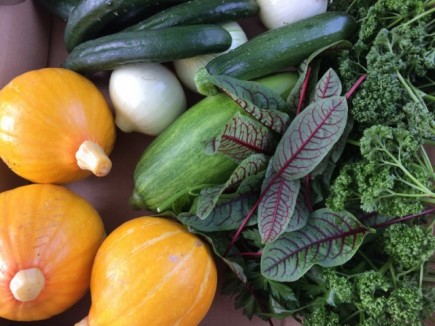 �摜(435x326)�E�g��摜(640x480)