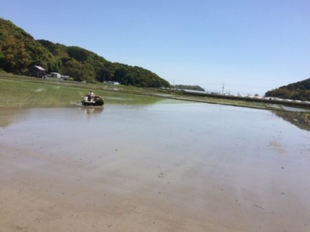 画像(435x326)・拡大画像(640x480)