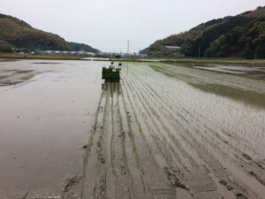 画像(300x225)・拡大画像(640x480)