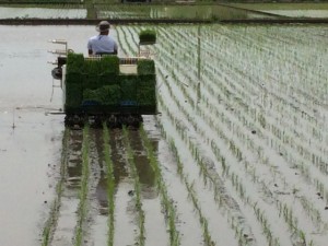 画像(300x225)・拡大画像(640x480)