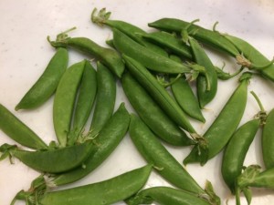 �摜(300x225)�E�g��摜(640x480)