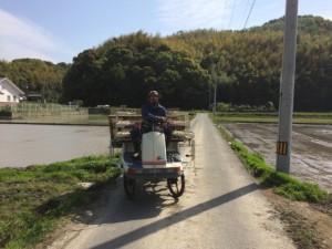 画像(300x225)・拡大画像(640x480)