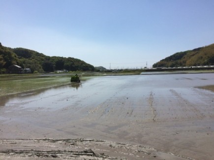 画像(435x326)・拡大画像(640x480)