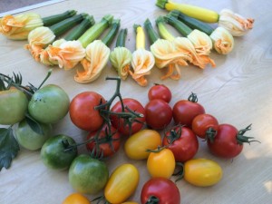 画像(300x225)・拡大画像(640x480)