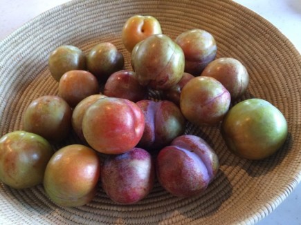 画像(435x326)・拡大画像(640x480)