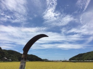 画像(300x225)・拡大画像(640x480)