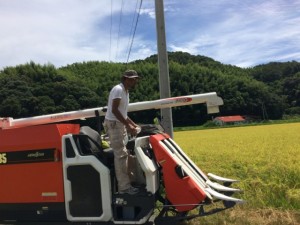 画像(300x225)・拡大画像(640x480)