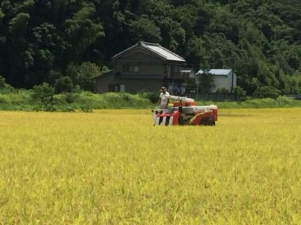 画像(435x326)・拡大画像(640x480)