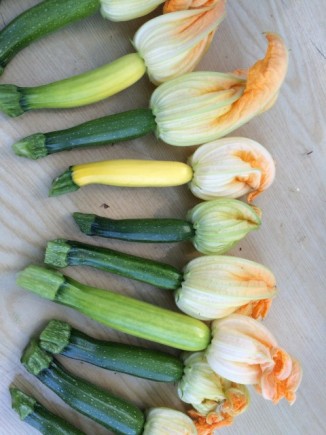 画像(326x435)・拡大画像(480x640)