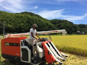 画像(300x225)・拡大画像(640x480)