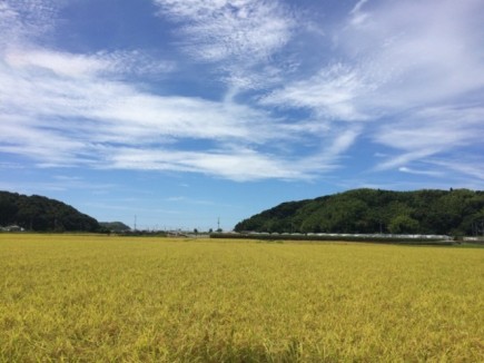 画像(435x326)・拡大画像(640x480)