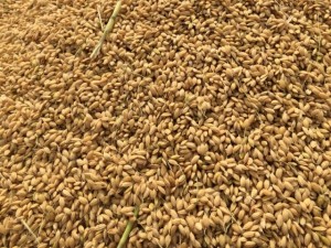 画像(300x225)・拡大画像(640x480)