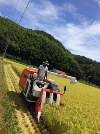 画像(326x435)・拡大画像(480x640)