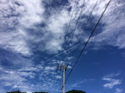 画像(435x326)・拡大画像(640x480)